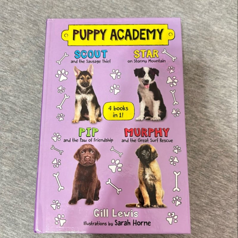 Puppy Academy Bindup Books 1-4: Scout and the Sausage Thief, Star on Stormy Mountain, Pip and the Paw of Friendship, Murphy and the Great Surf Rescue