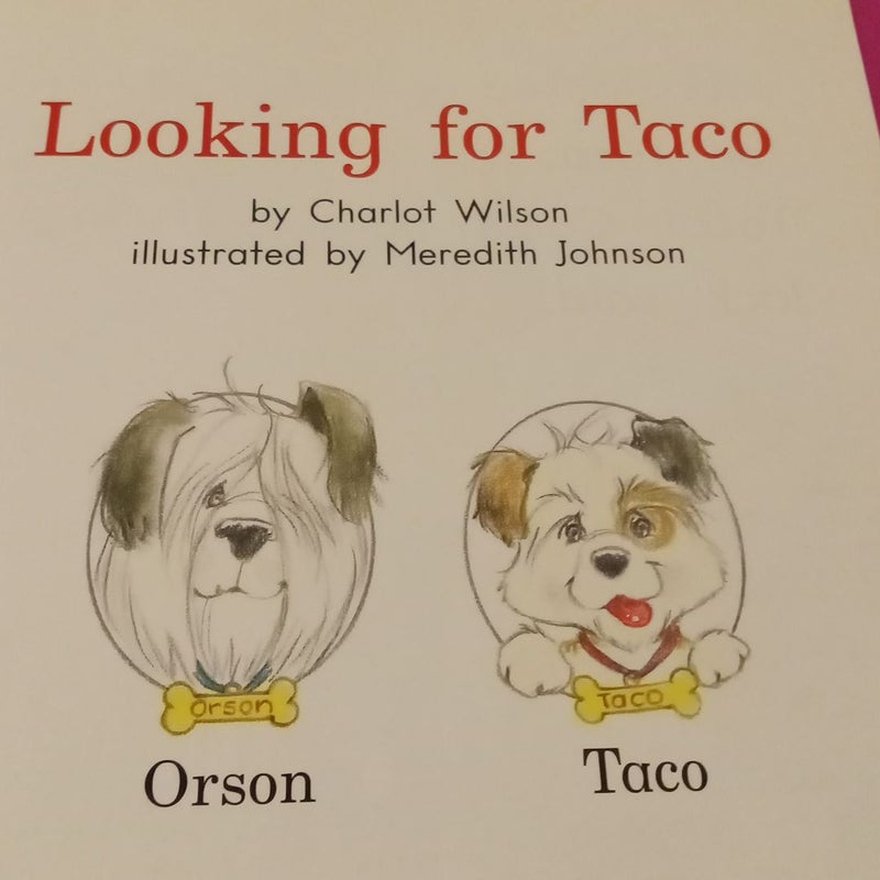 Looking for Taco