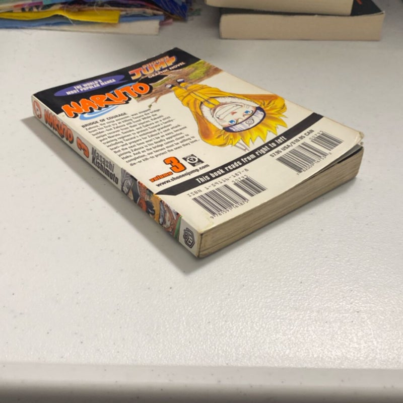 Naruto, Vol. 3