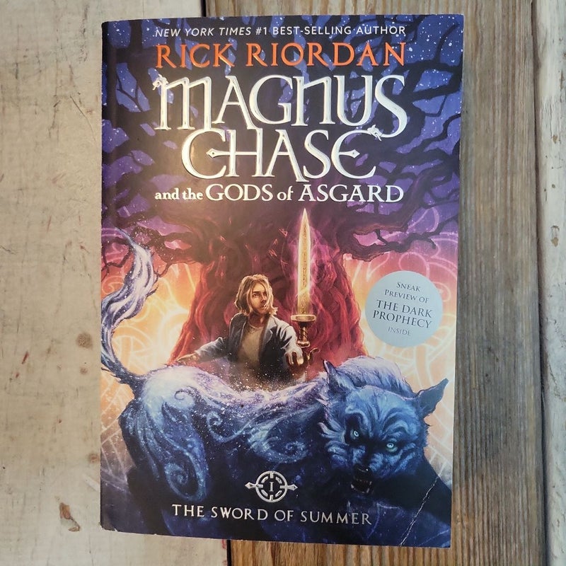 Magnus Chase and the Gods of Asgard Book 1 the Sword of Summer (Magnus Chase and the Gods of Asgard Book 1)