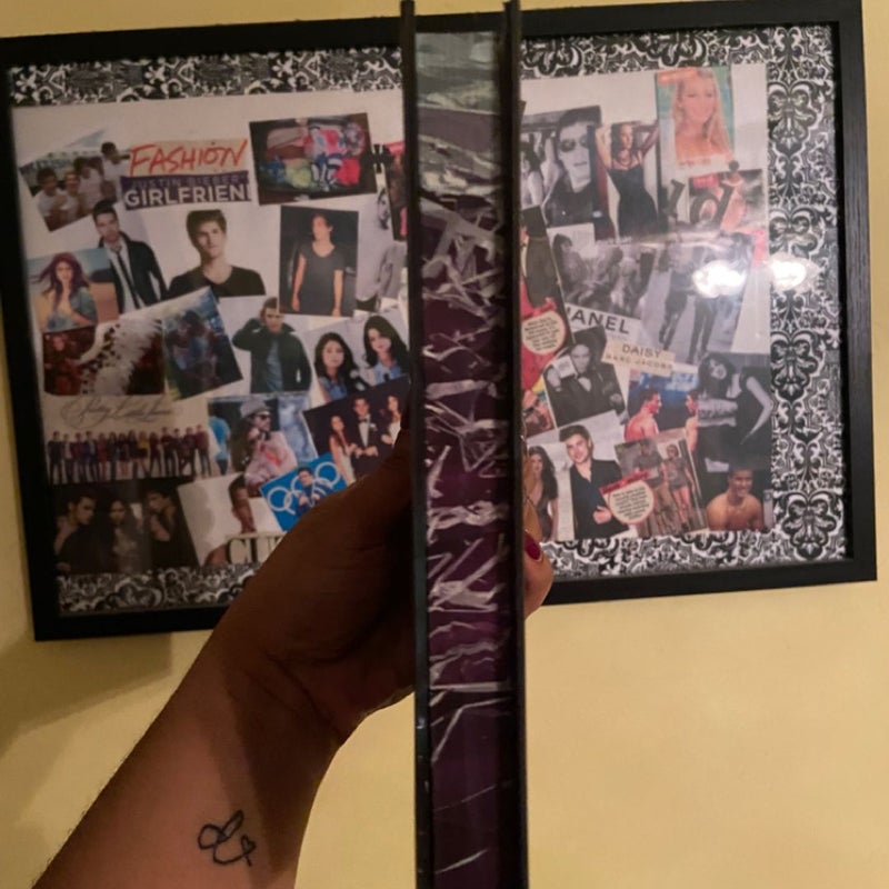Fable Never After Series 