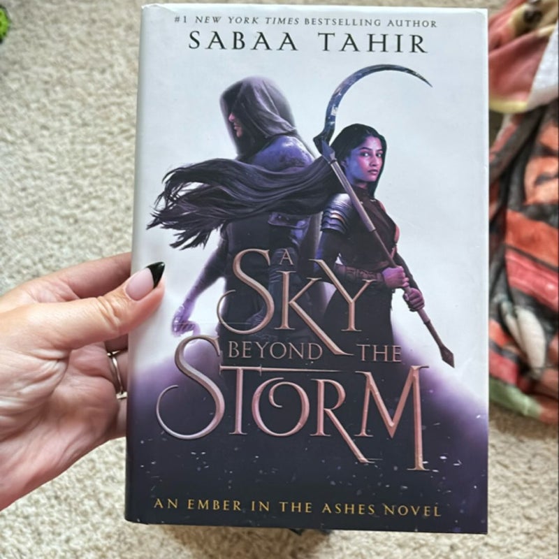 A Sky Beyond the Storm