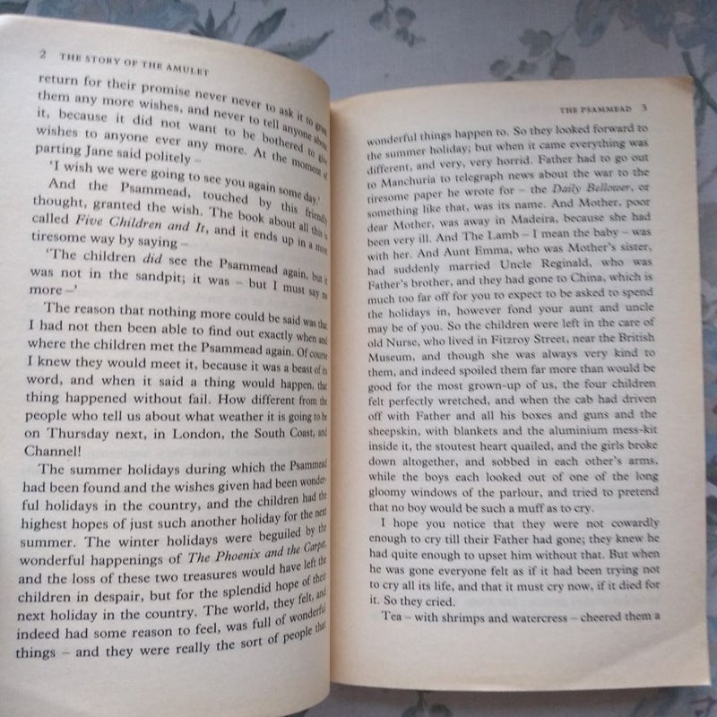 The Story of the Amulet
