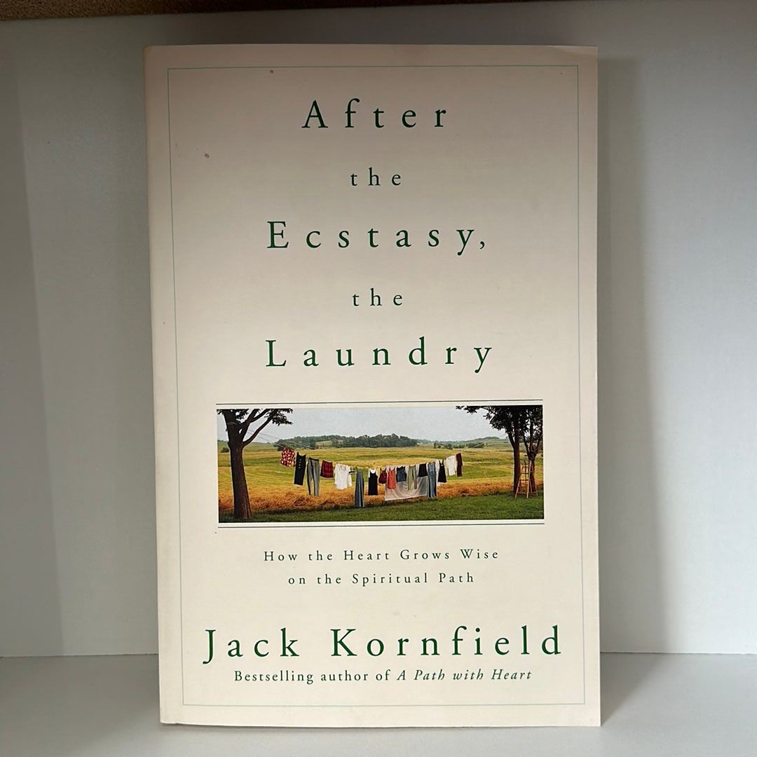 After the Ecstasy, the Laundry