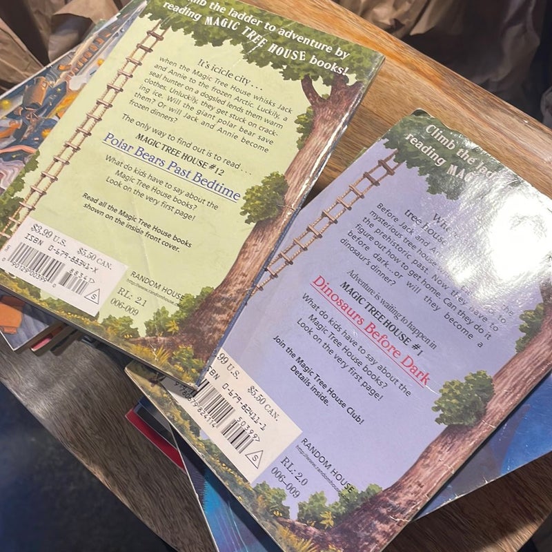23 books: MAGIC TREE HOUSE series