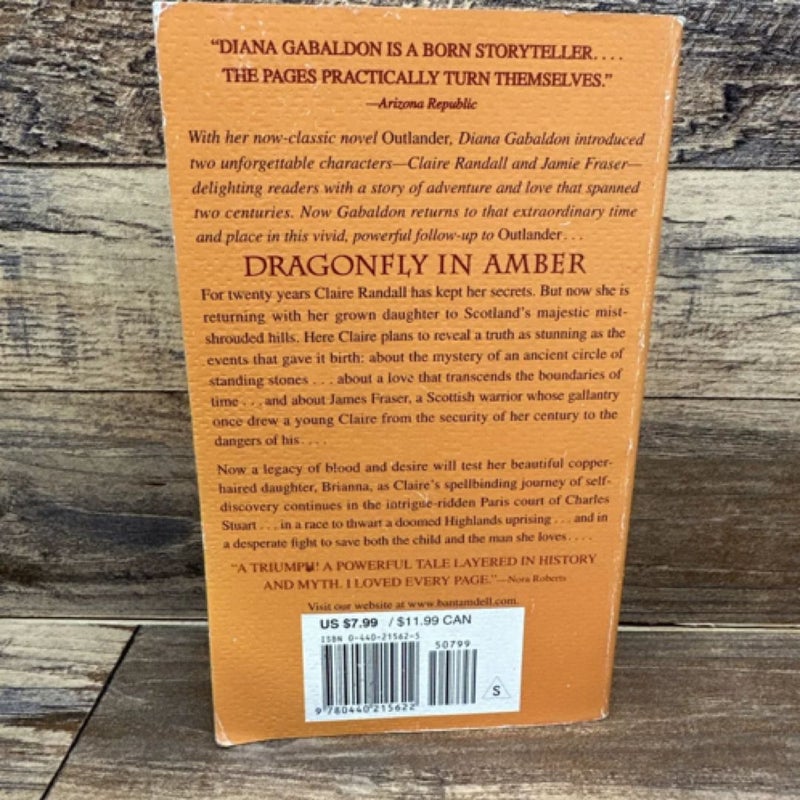 Dragonfly in Amber