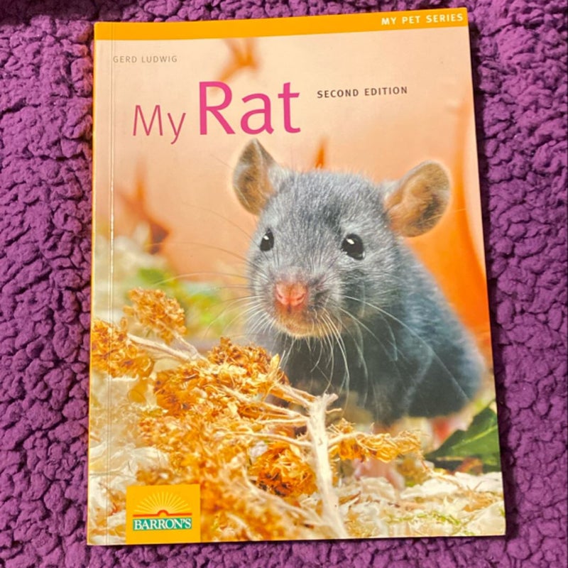 My Rat