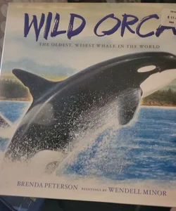 Wild Orca