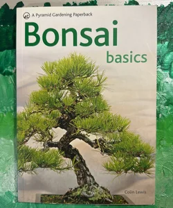 Bonsai Basics - a Comprehensive Guide to Care and Cultivation