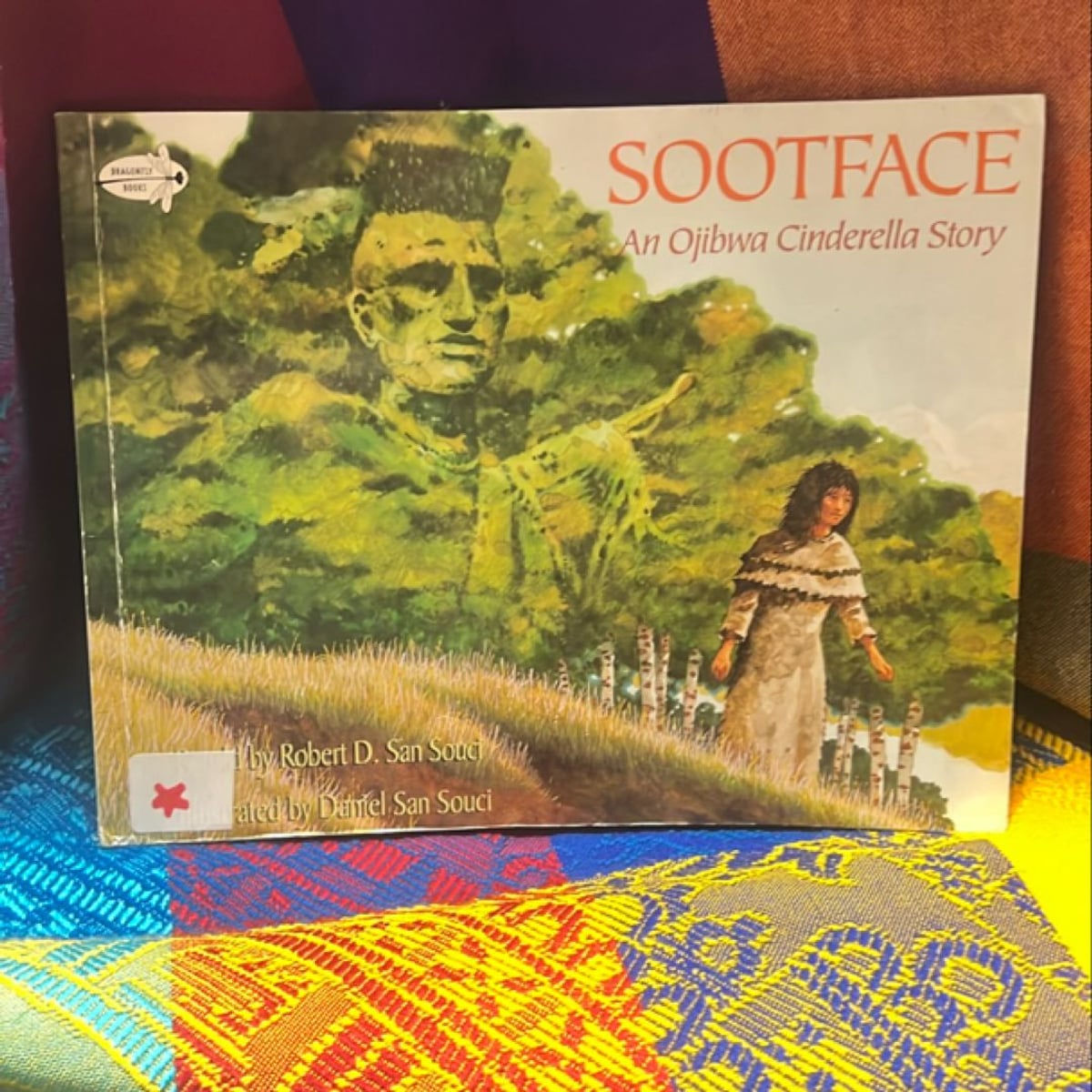 Sootface by Robert D. San Souci
