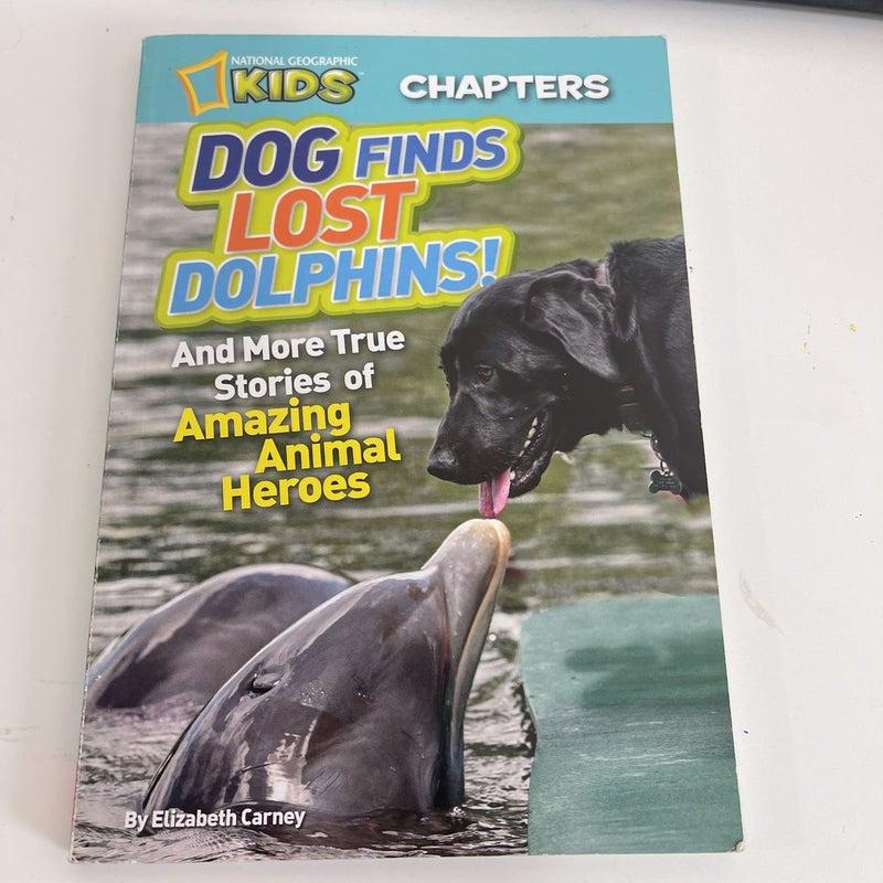 national geographic kids dog finds lost dolphins