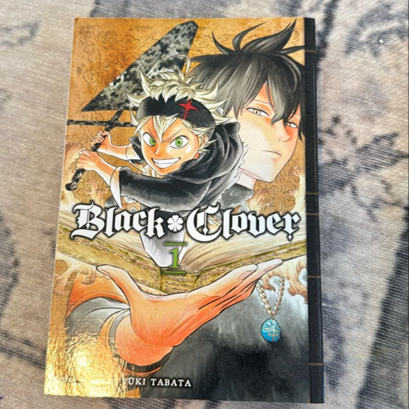 Black Clover, Vol. 1