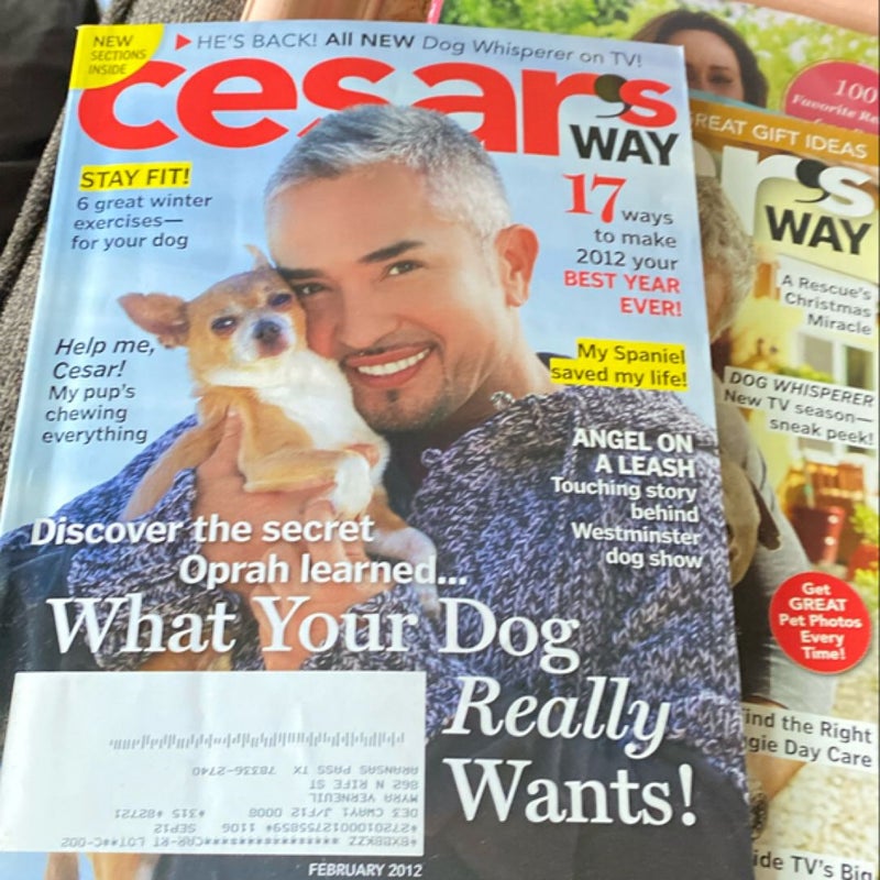 Cesar Millan Magazine Bundle