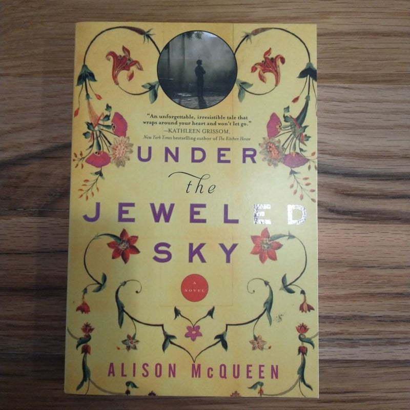 Under the Jeweled Sky