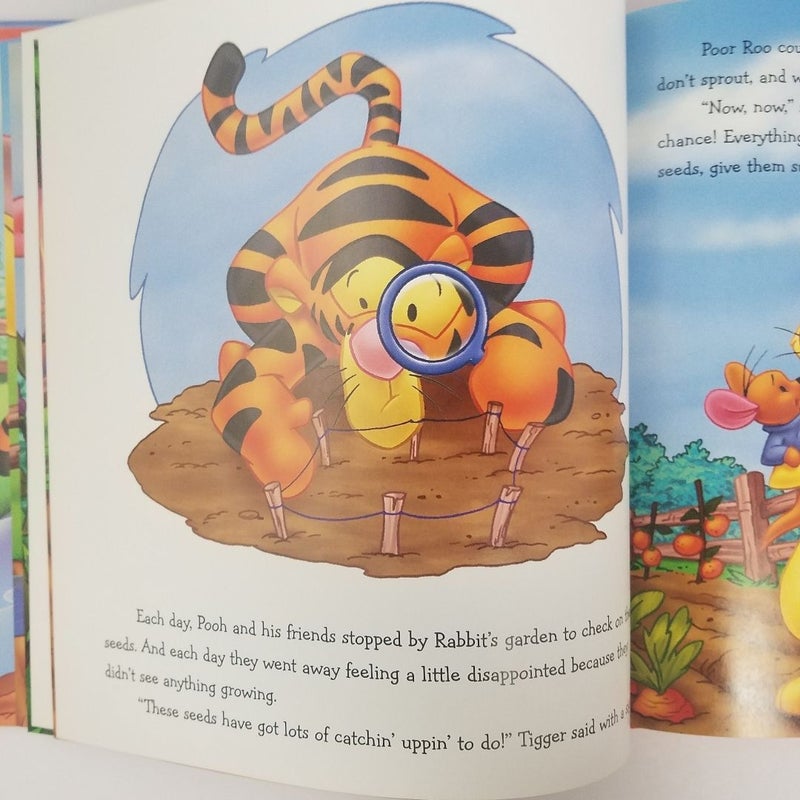 A Surprise Garden (Winnie the Pooh: It's Fun to Learn, book 1)