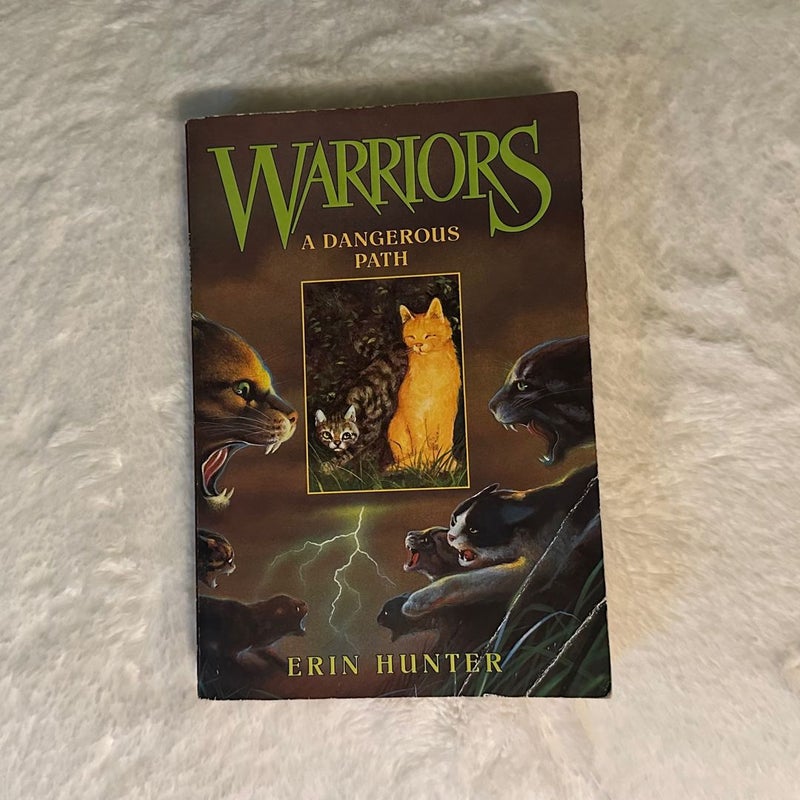 Warriors #5: A Dangerous Path