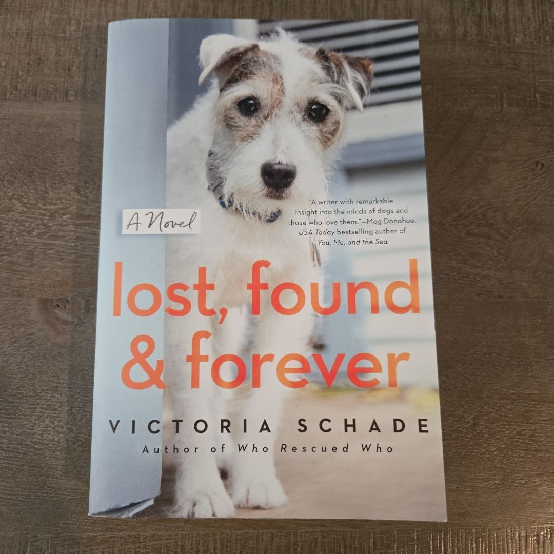 Lost, Found, and Forever