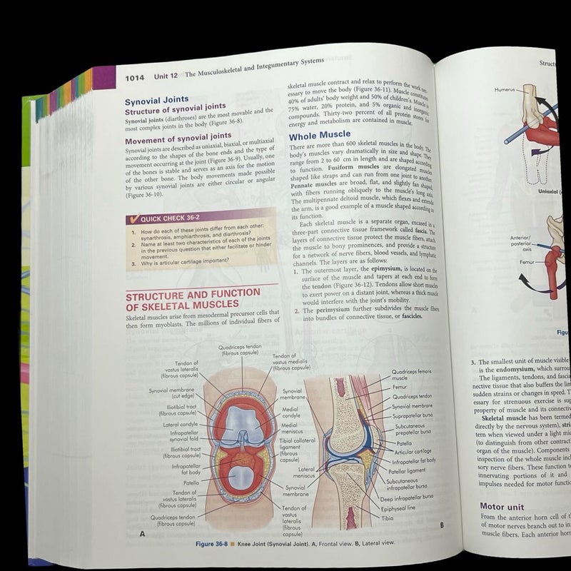 Understanding Pathophysiology