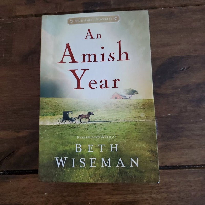 An Amish Year