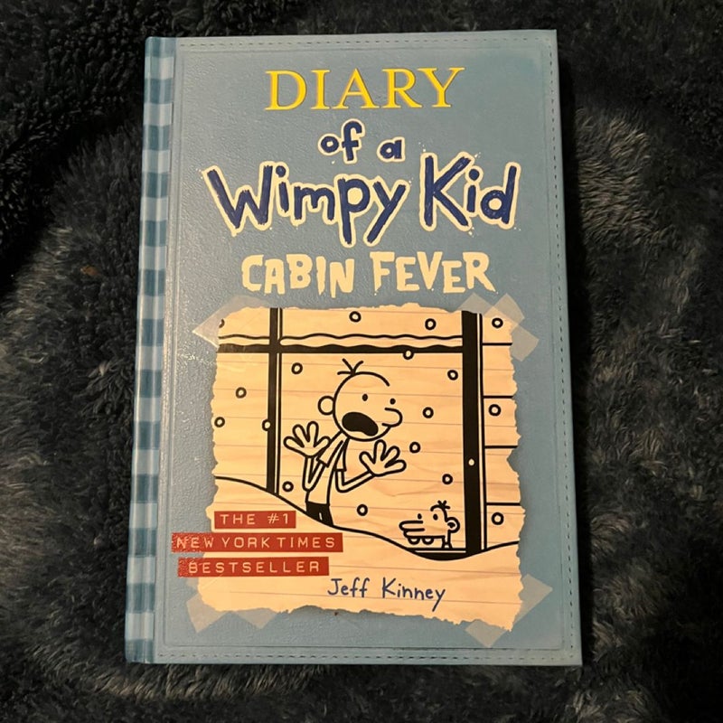 Diary of a Wimpy Kid # 6