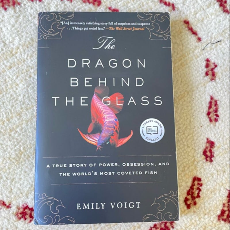 The Dragon Behind the Glass