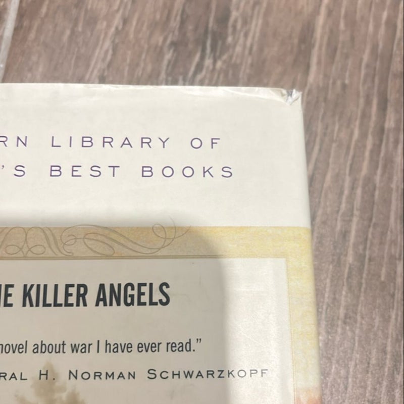 The Killer Angels