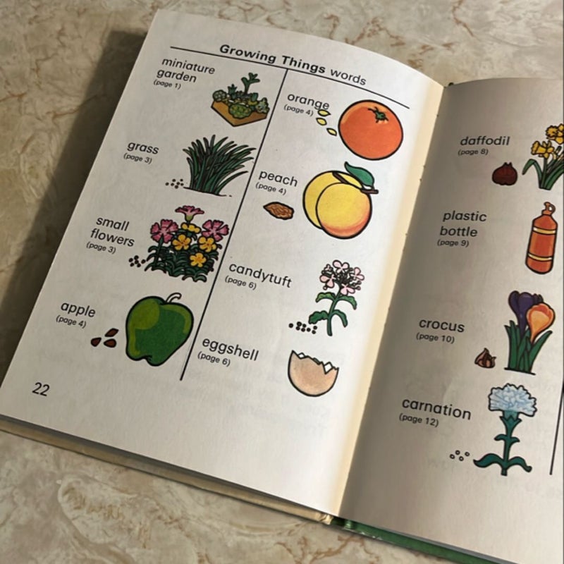 Growing Things Indoors