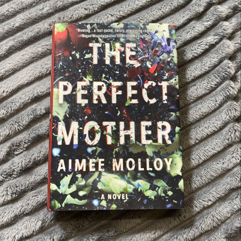 The Perfect Mother