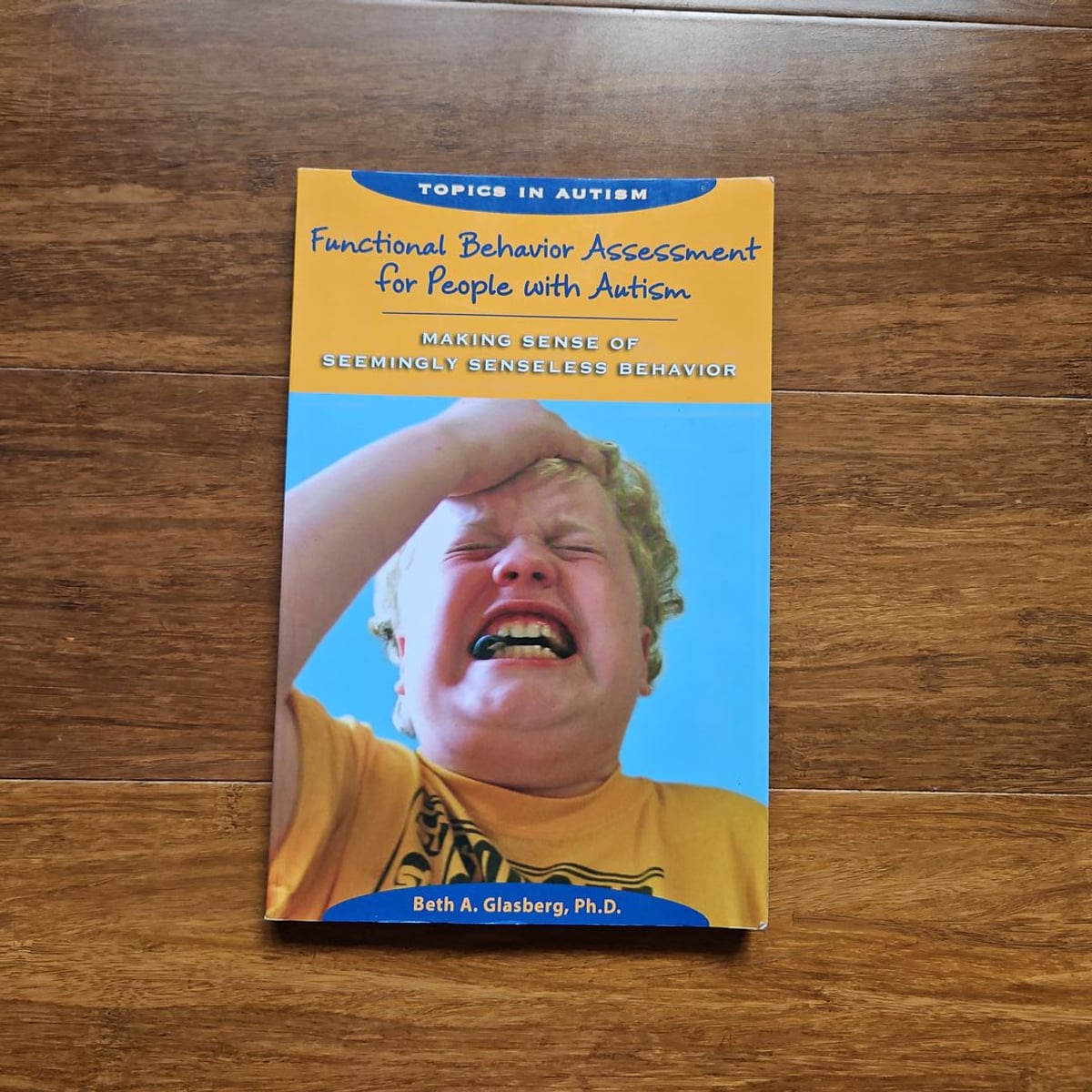 Functional Behavior Assessment for People with Autism by Beth A. Glasberg