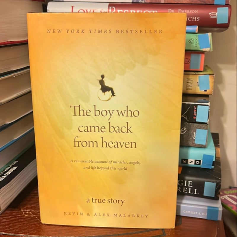 The Boy Who Came Back from Heaven