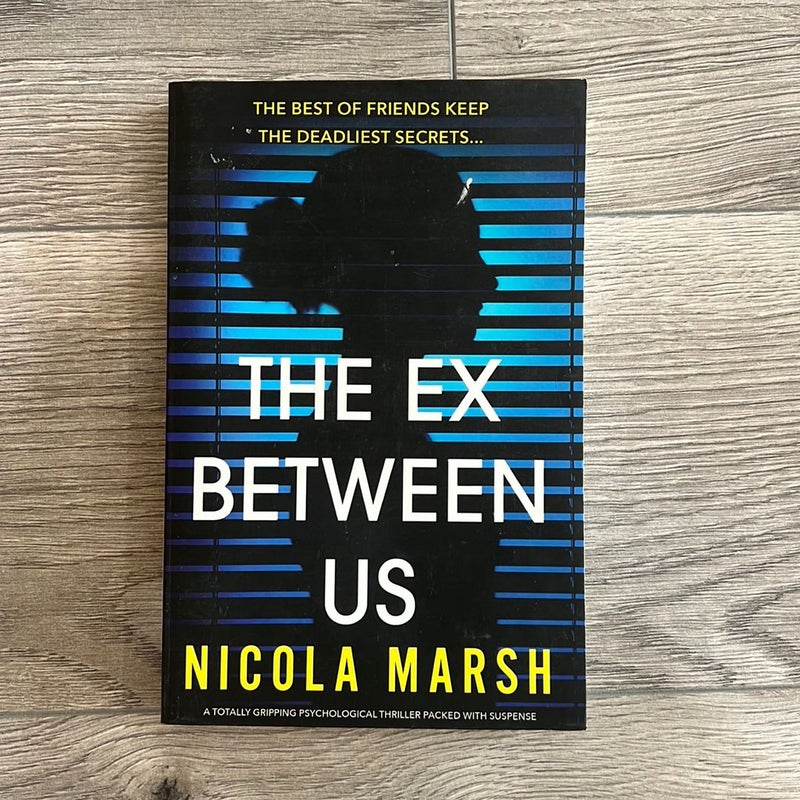 The Ex Between Us