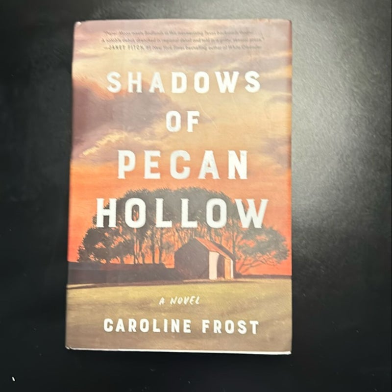 Shadows of Pecan Hollow