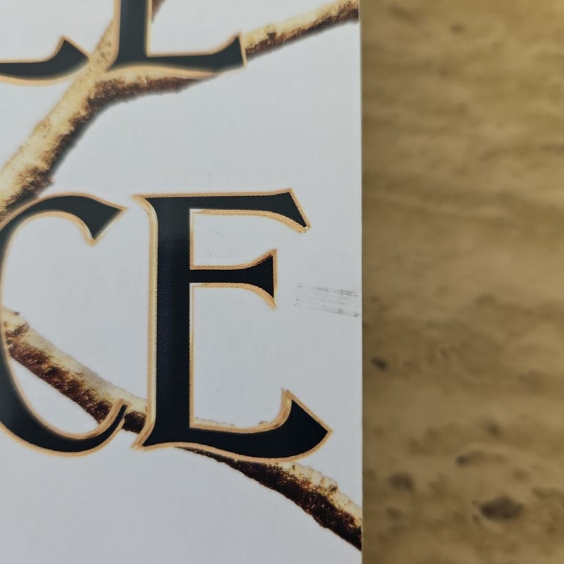The Cruel Prince
