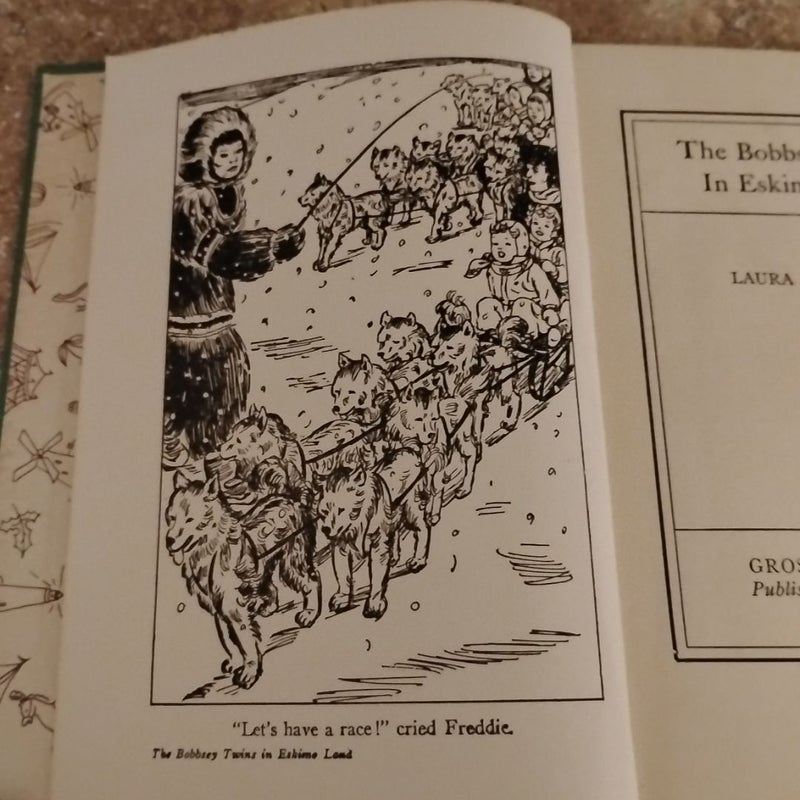 The Bobbsey Twins in Eskimo Land 