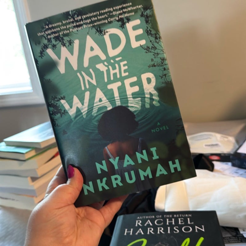 Wade in the Water