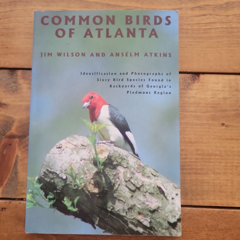 Common Birds of Atlanta