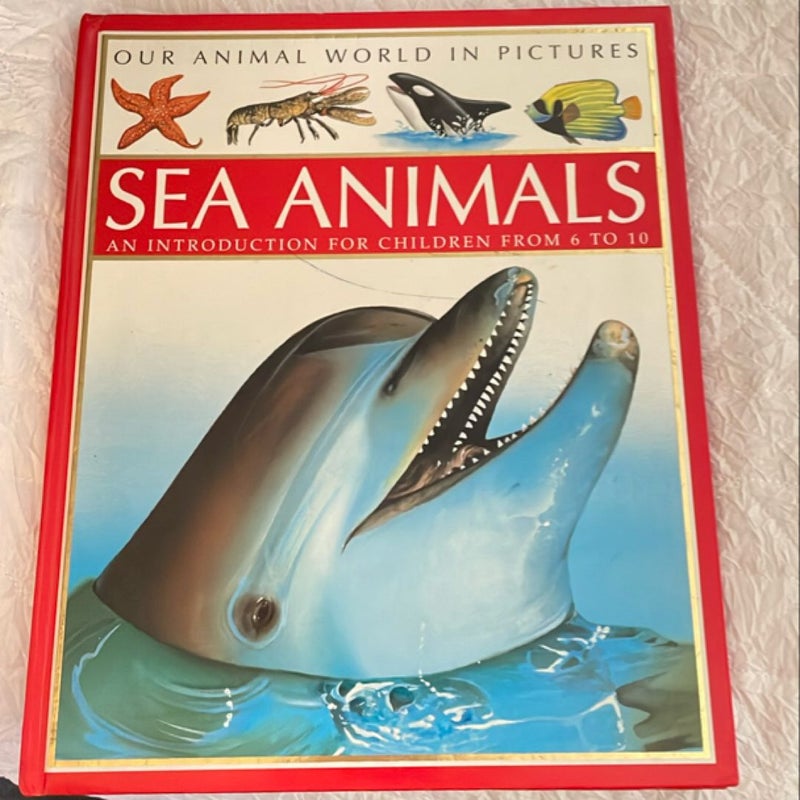 Sea Animals 