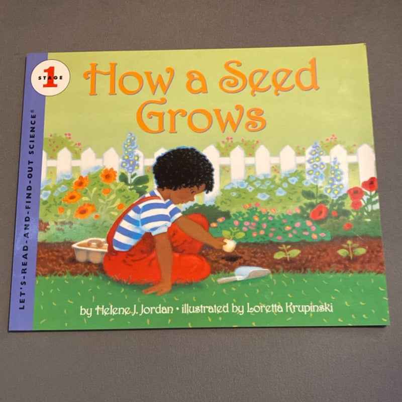 How a Seed Grows