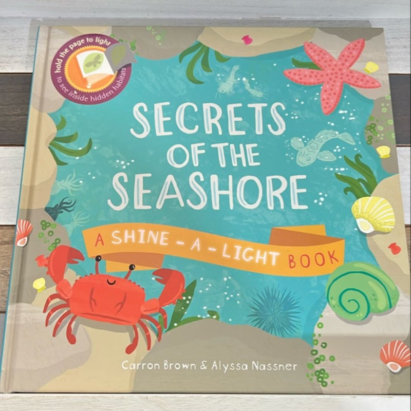 Secrets of the Seashore