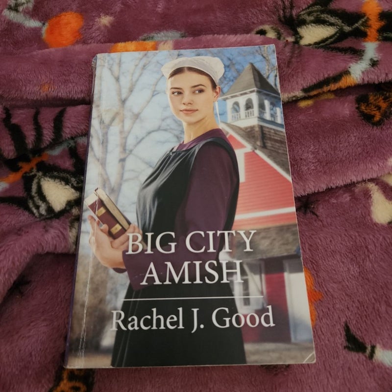 Big City Amish