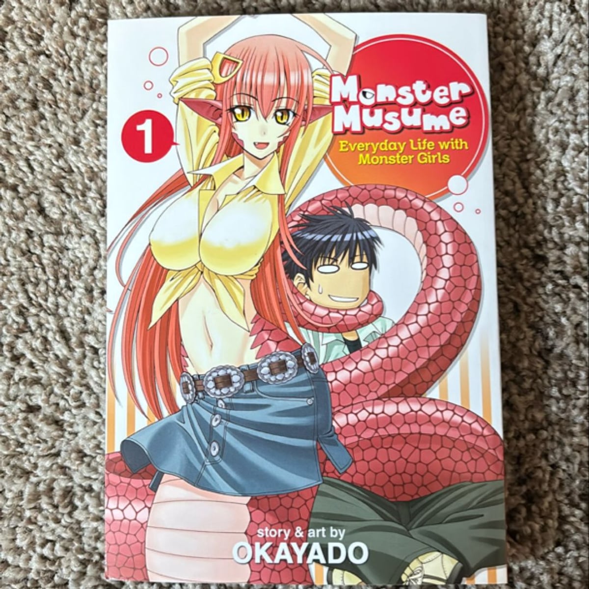 ‚Monster Musume Vol. 17‘ Von ‚Okayado‘ – BKMKW