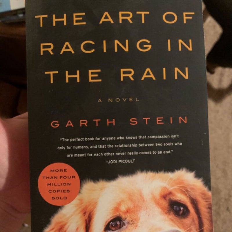 The Art of Racing in the Rain