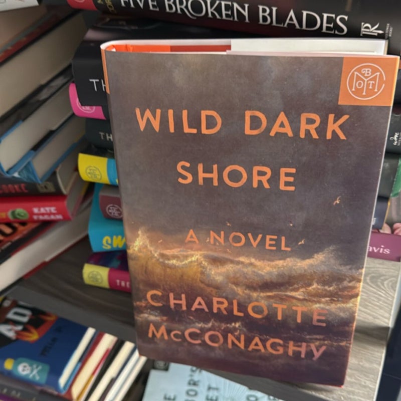 Wild Dark Shore