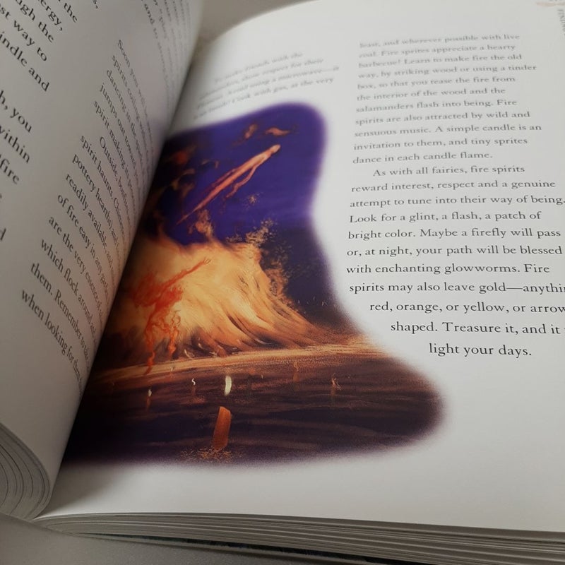 Fairy Bible