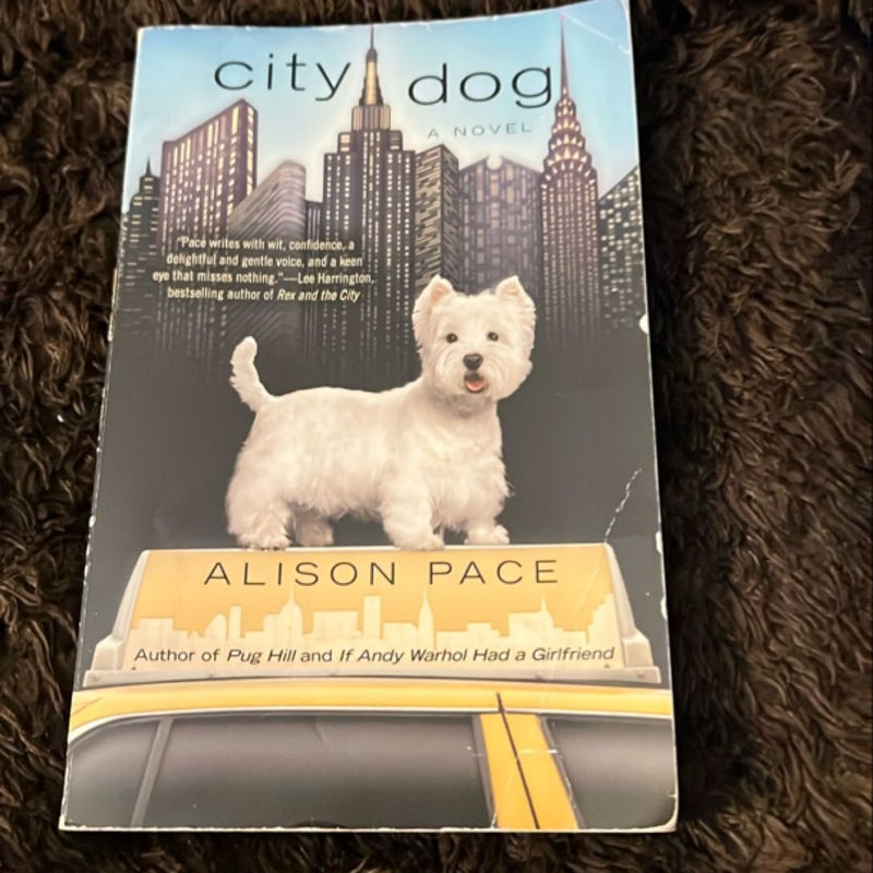 City Dog