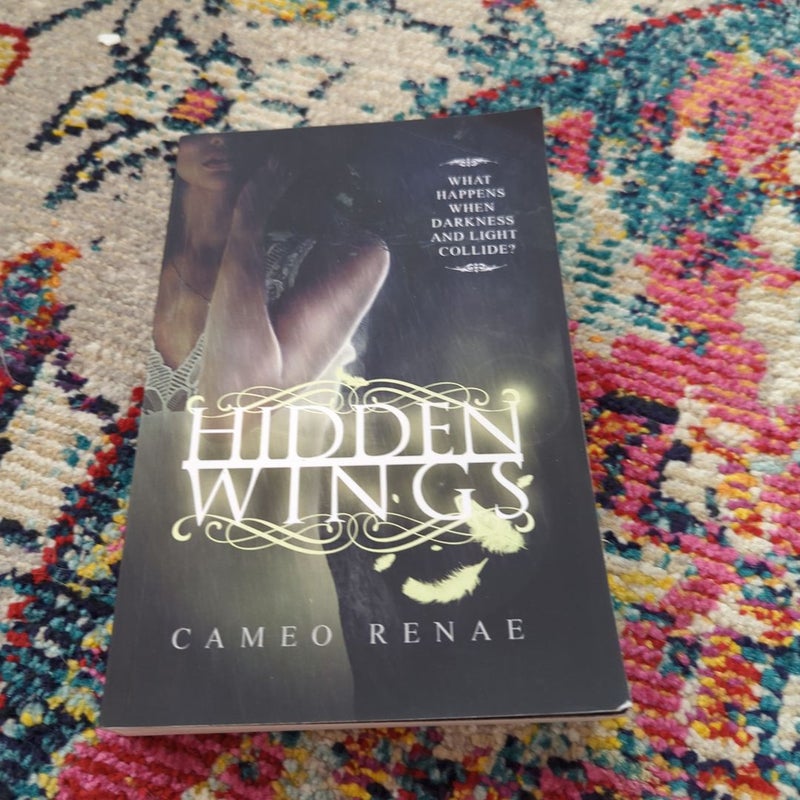 Hidden Wings (Hidden Wings Series Book One)