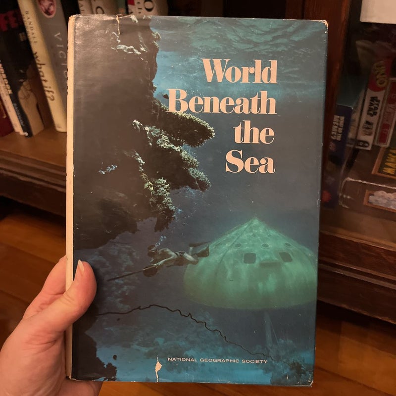 World Beneath The Sea