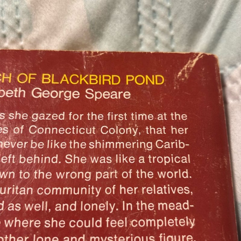The Witch of Blackbird Pond
