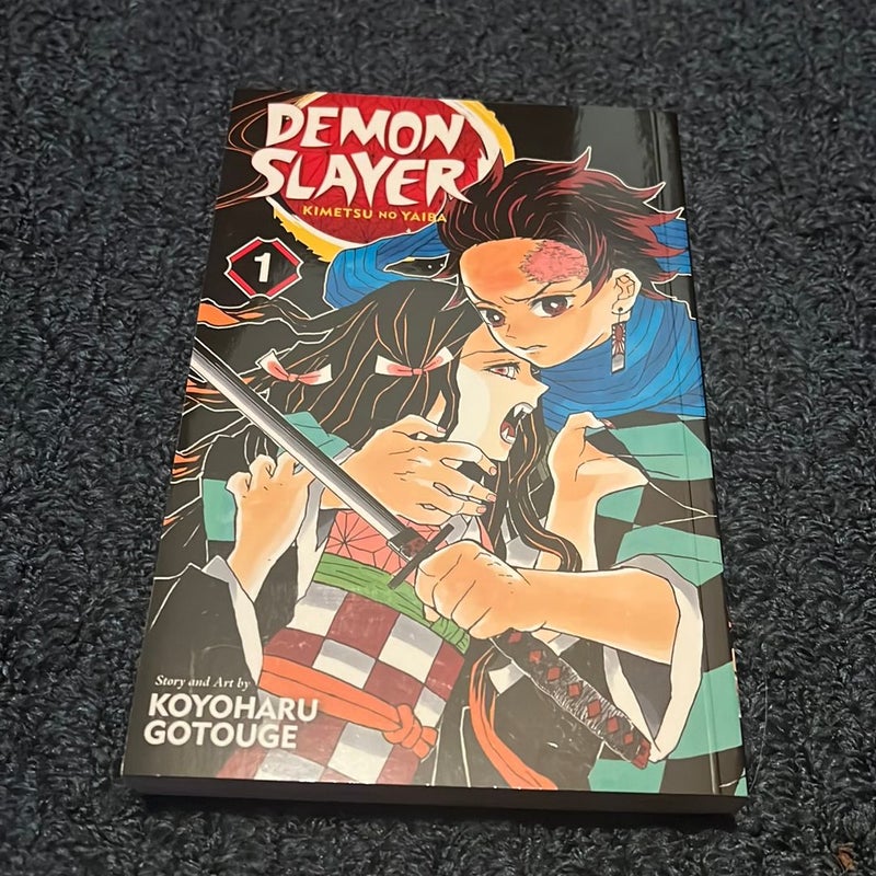 Demon Slayer: Kimetsu No Yaiba, Vol. 1