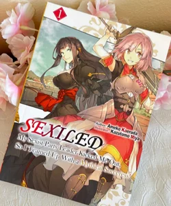 Sexiled: My Sexist Party Leader Kicked Me Out, So I Teamed up with a Mythical Sorceress! Vol. 1